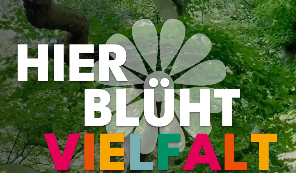 LaGa Bad Nennedorf 2026